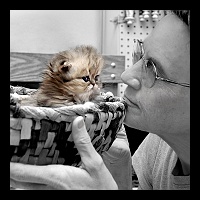 PAGE - Lil Basket Case